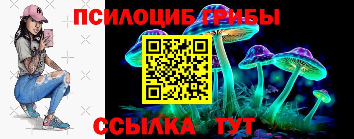 Махачкала  Псилоцибиновые грибы Psilocybe  Вход с VPN  Псилоцибиновые грибы Cubensis 